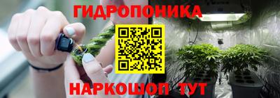 соль ск Канаш