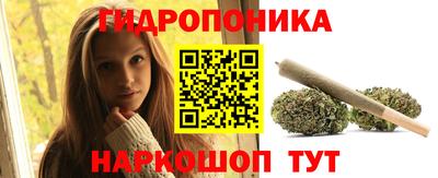 соль ск Канаш