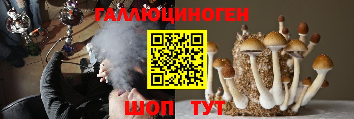 хочу   Псилоцибиновые грибы Magic Shrooms  Вход с VPN  Краснодар 